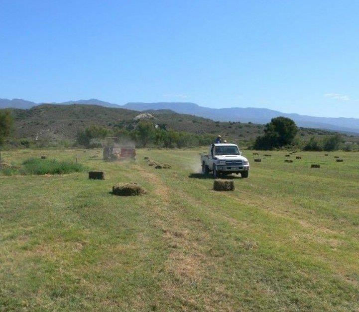 0 Bedroom Property for Sale in Ladismith Rural Western Cape